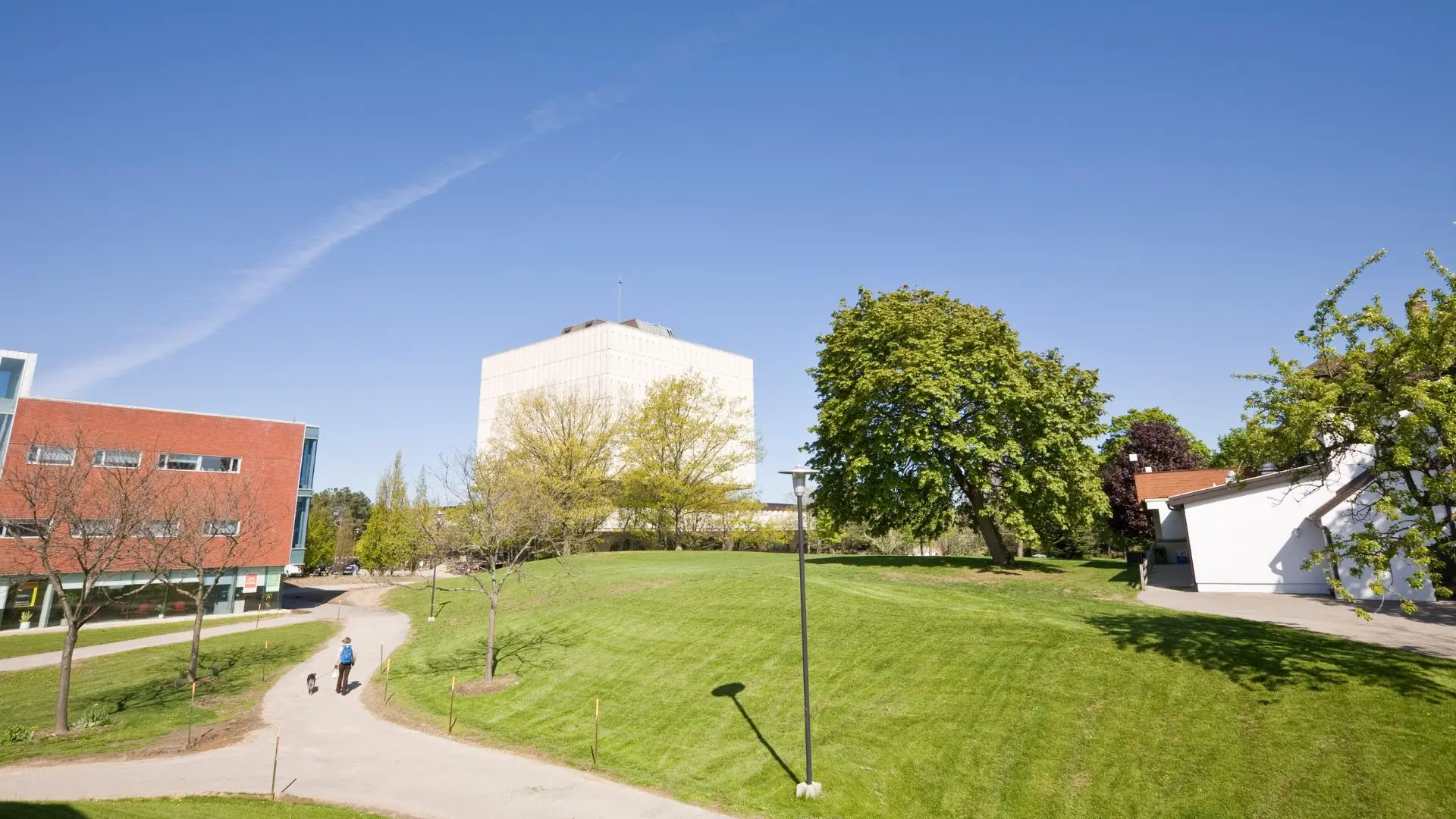 University of Waterloo